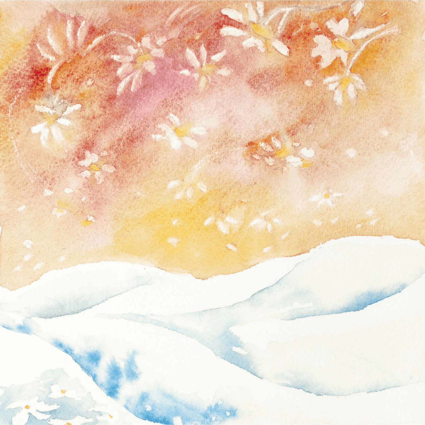 Acquerello "Neve e Margherite"