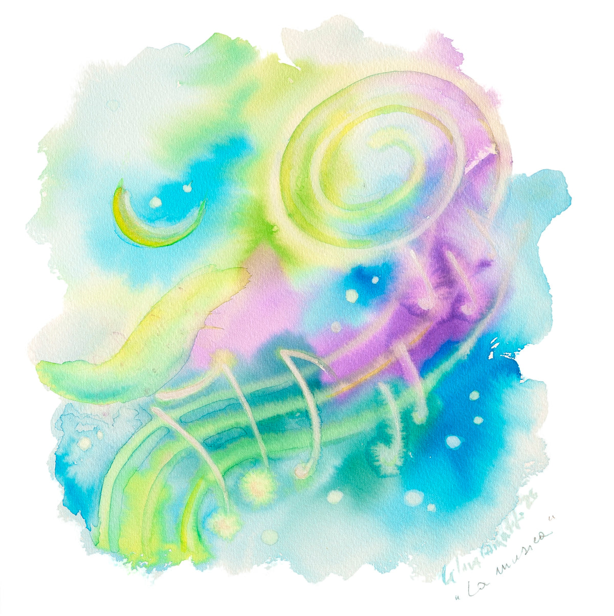 Acqua